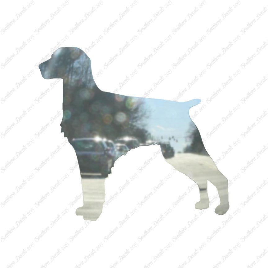 Brittany Dog Breed