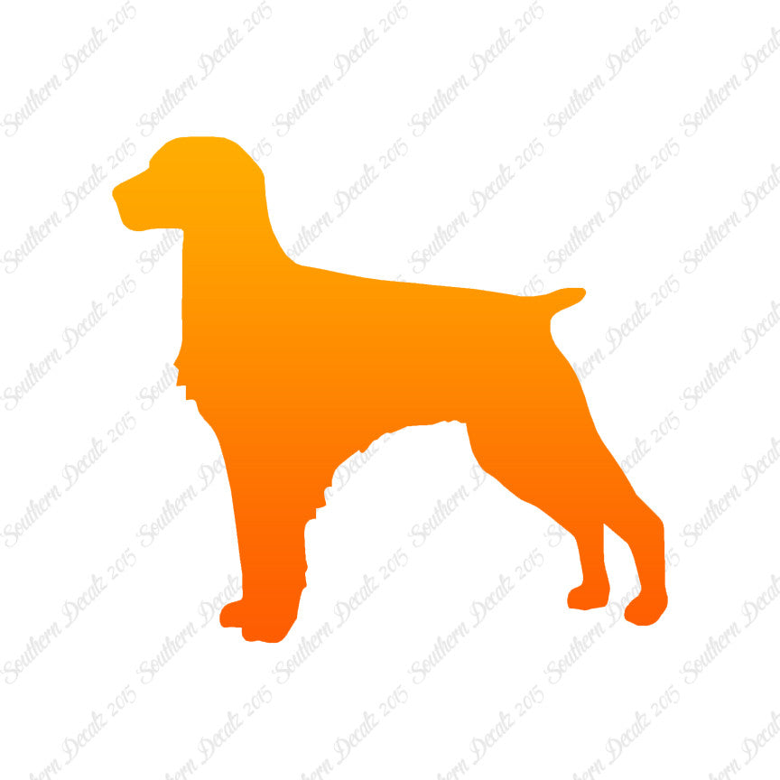 Brittany Dog Breed