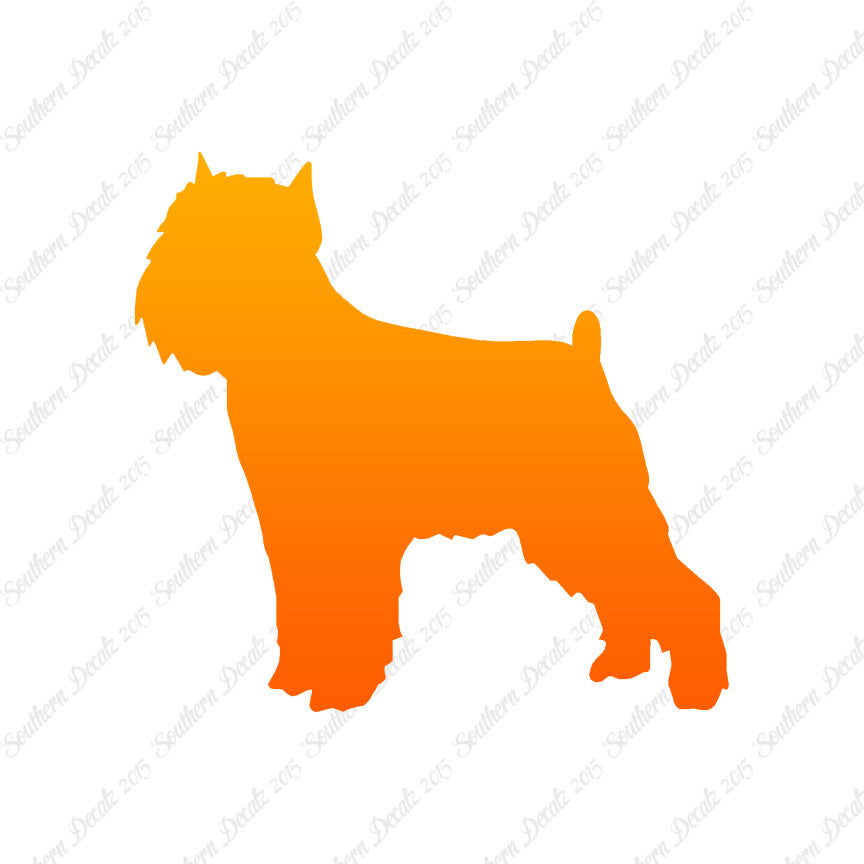Brussels Griffon Dog Breed