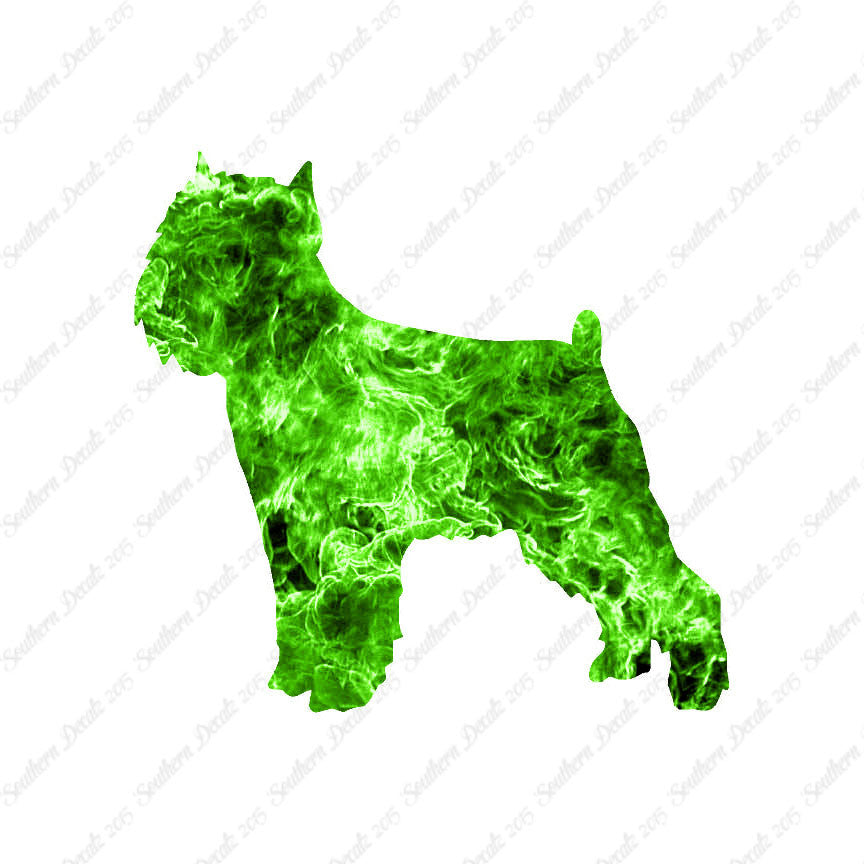 Brussels Griffon Dog Breed