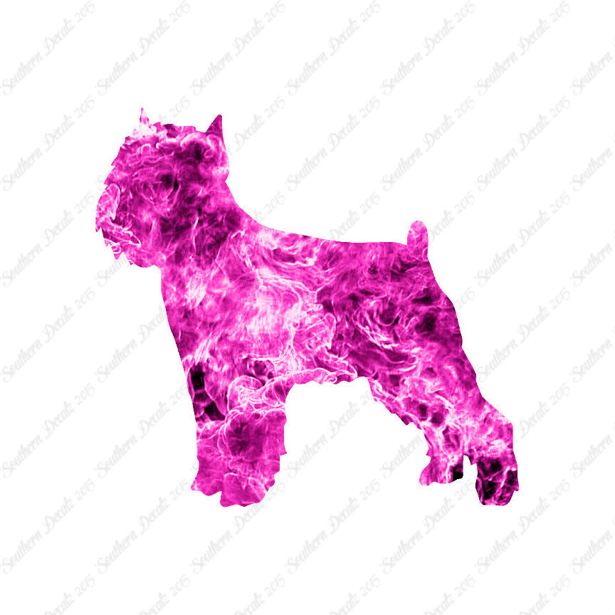 Brussels Griffon Dog Breed