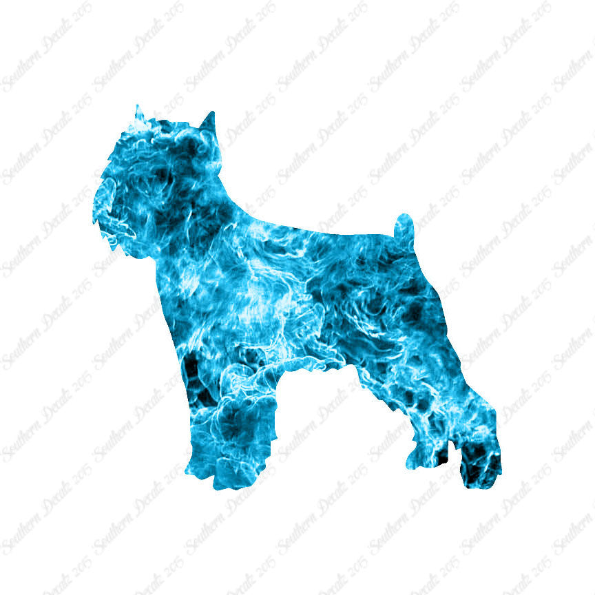 Brussels Griffon Dog Breed