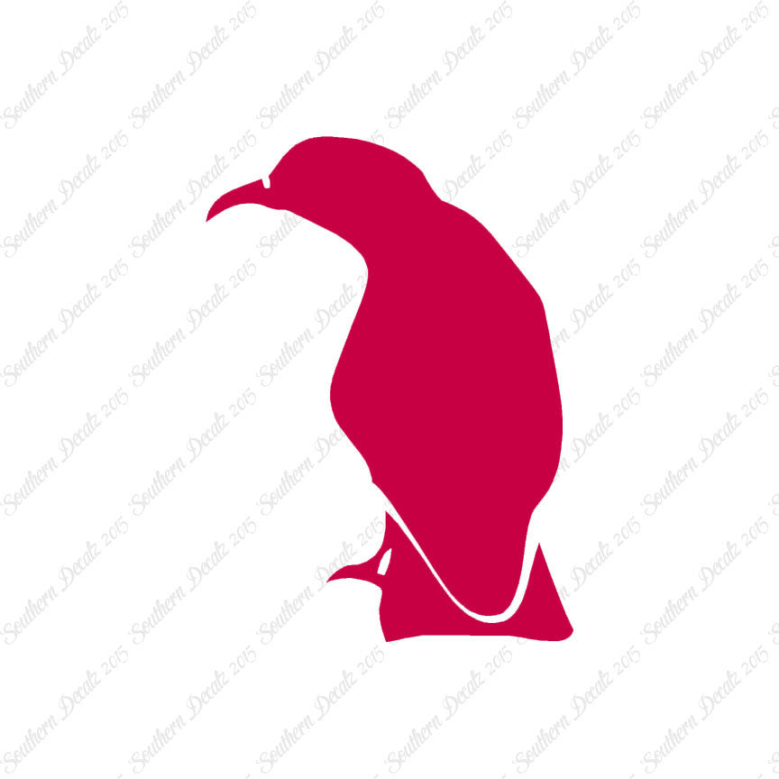 Raven Crow Bird