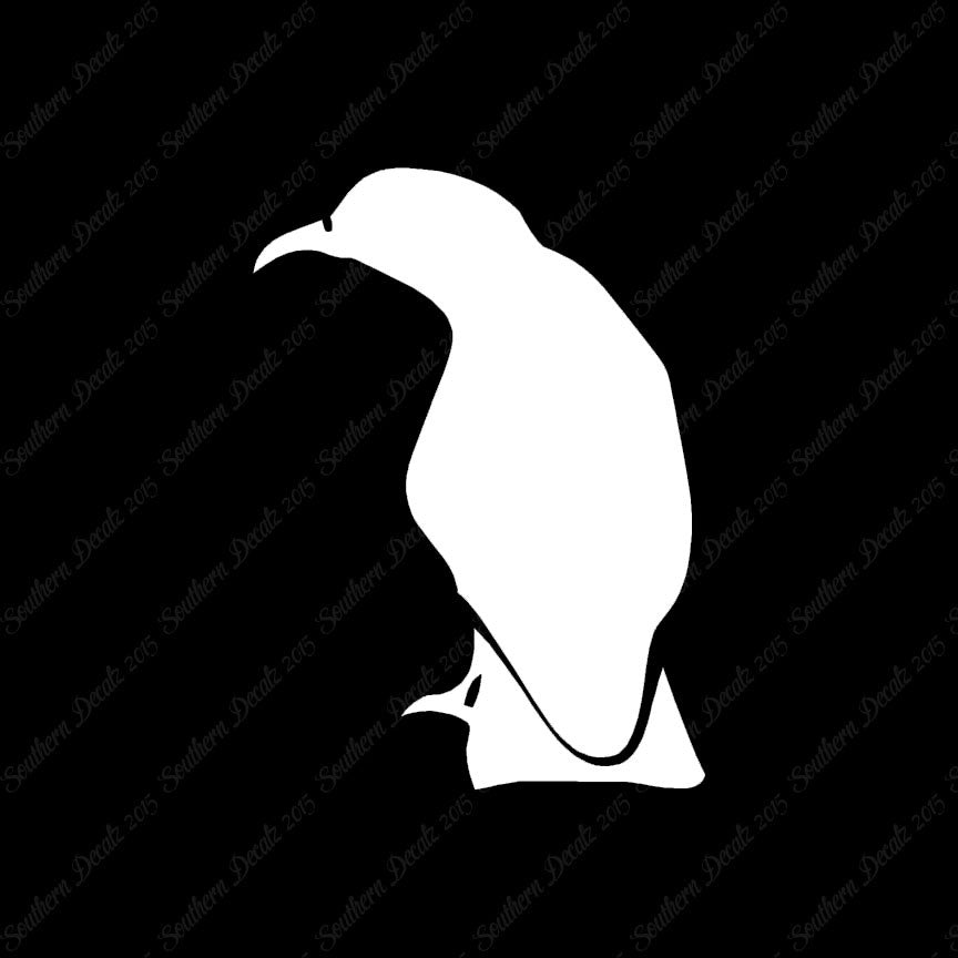 Raven Crow Bird