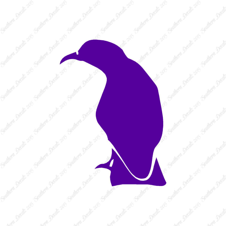 Raven Crow Bird