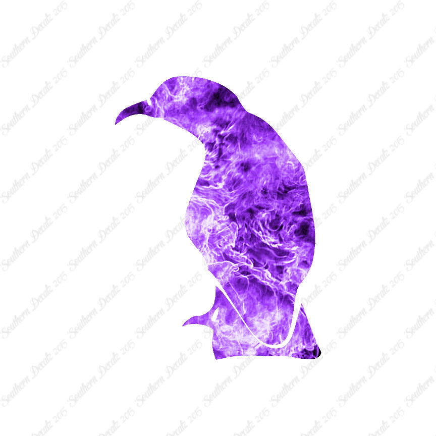 Raven Crow Bird