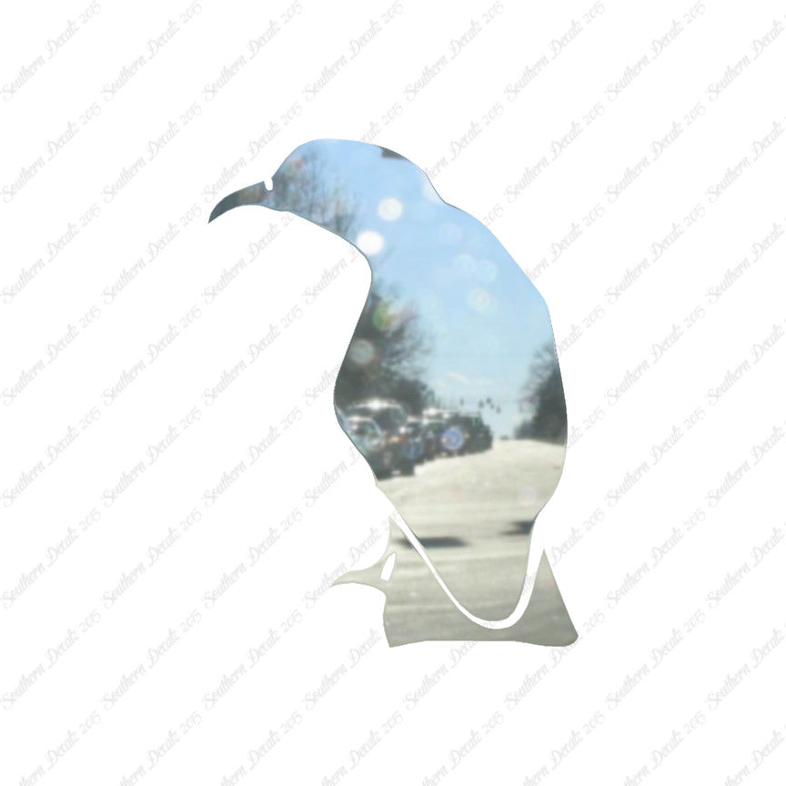 Raven Crow Bird