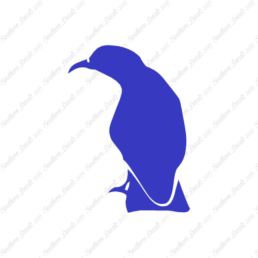 Raven Crow Bird