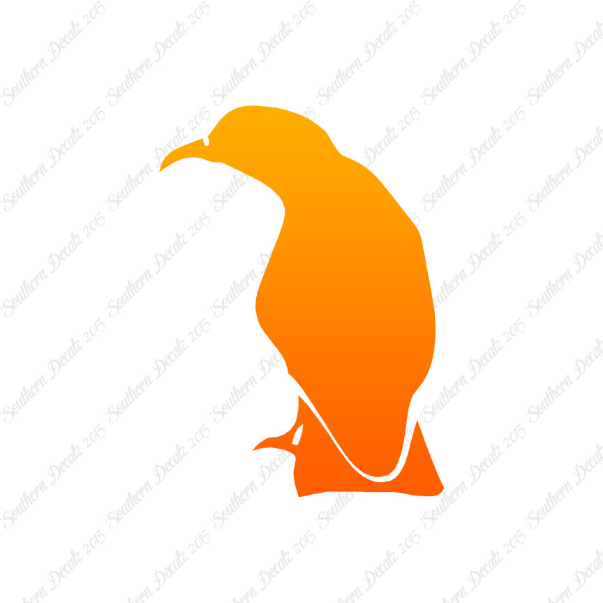 Raven Crow Bird