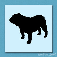 Bulldog Dog Breed