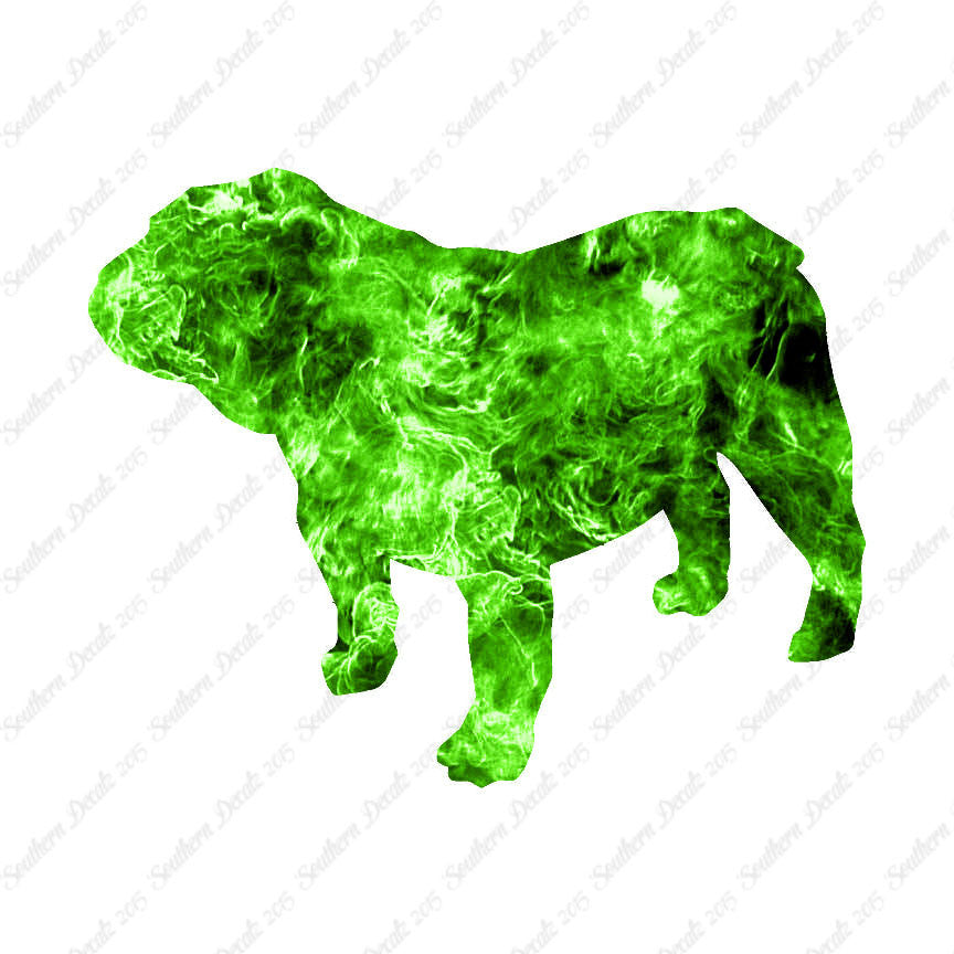 Bulldog Dog Breed