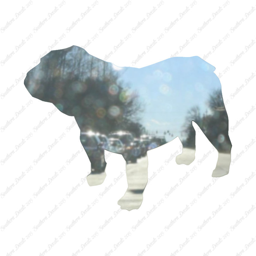 Bulldog Dog Breed