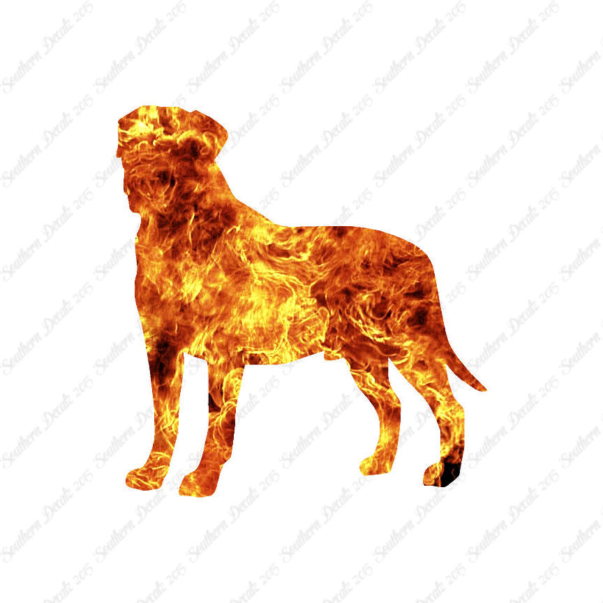 Bullmastiff Dog Breed