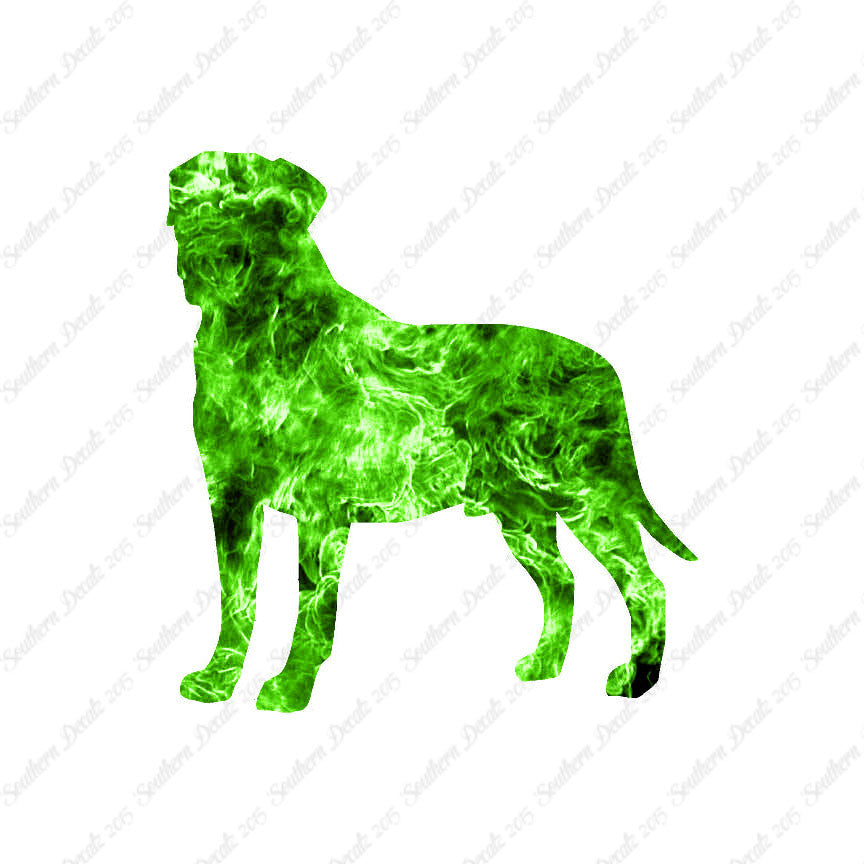 Bullmastiff Dog Breed