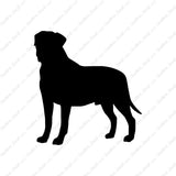Bullmastiff Dog Breed