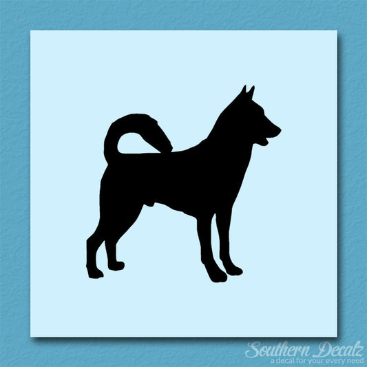 Canaan Dog Breed