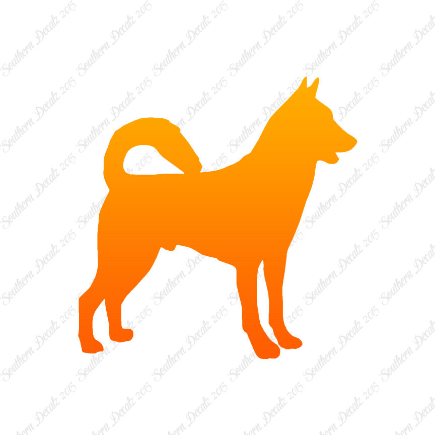 Canaan Dog Breed