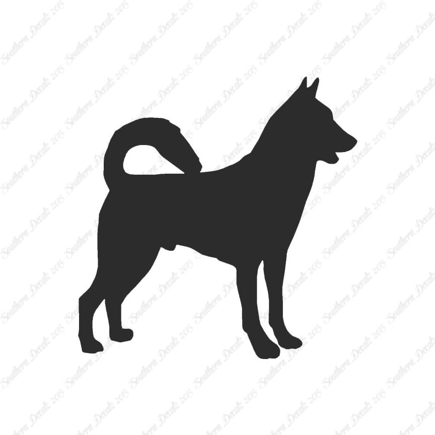 Canaan Dog Breed