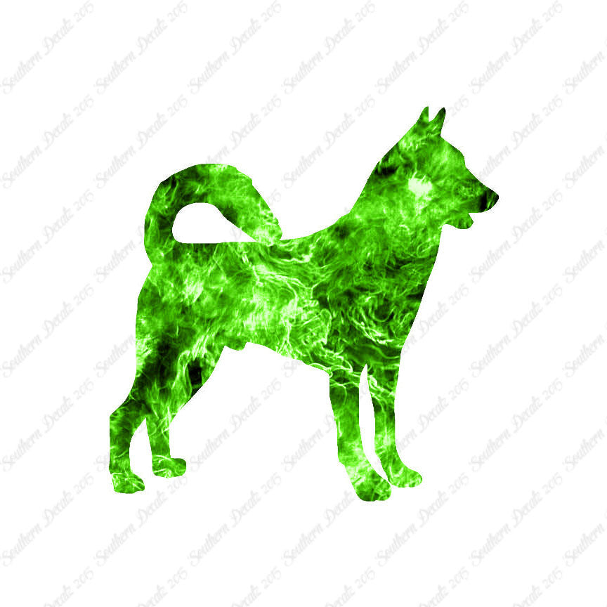 Canaan Dog Breed