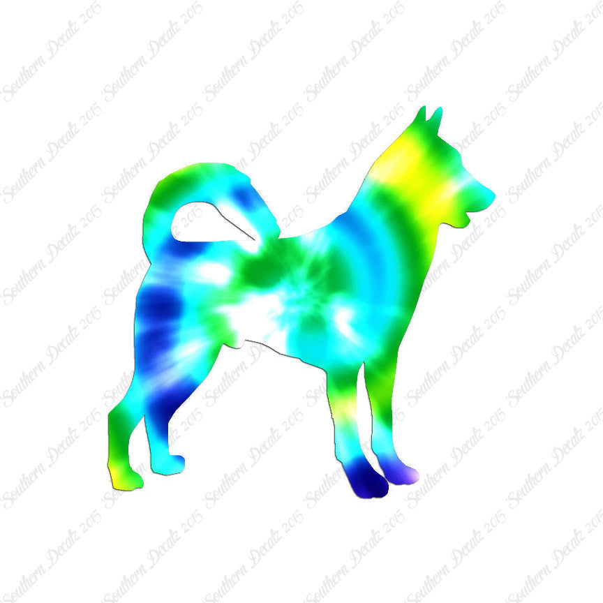 Canaan Dog Breed