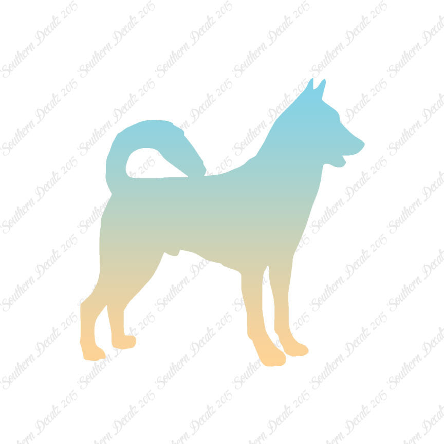 Canaan Dog Breed
