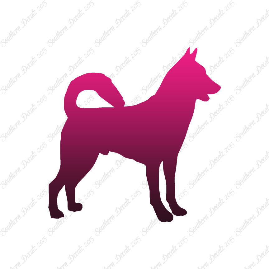 Canaan Dog Breed