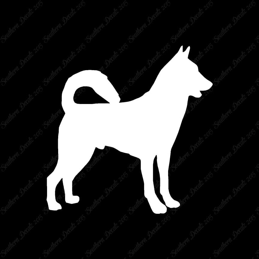 Canaan Dog Breed