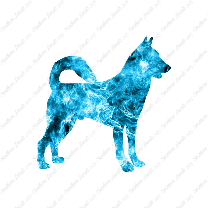 Canaan Dog Breed