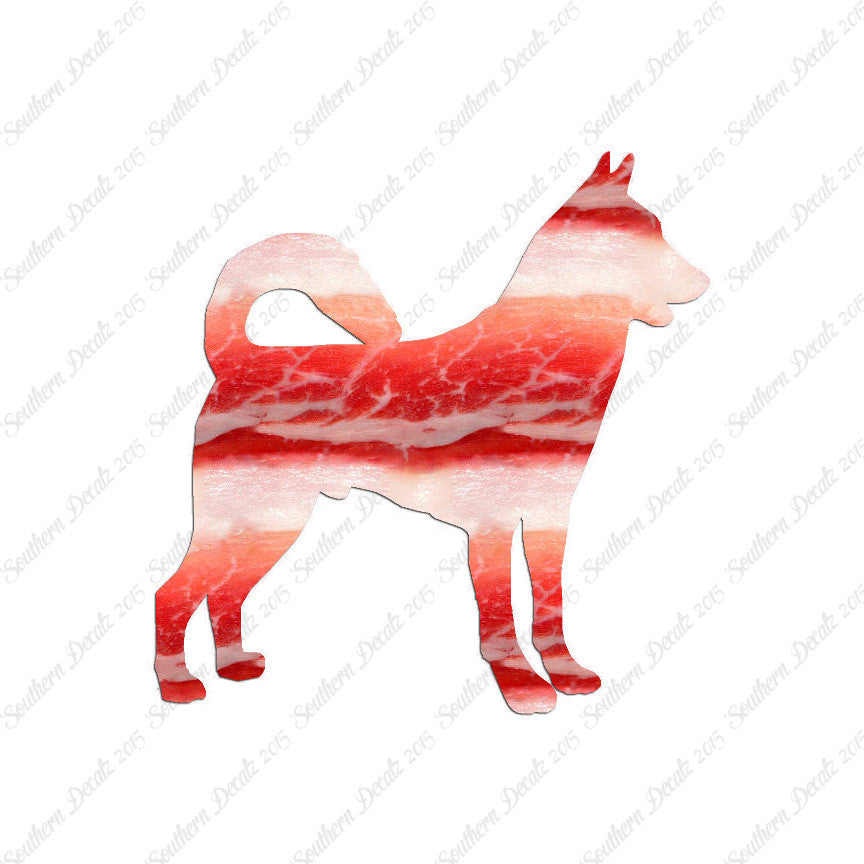 Canaan Dog Breed