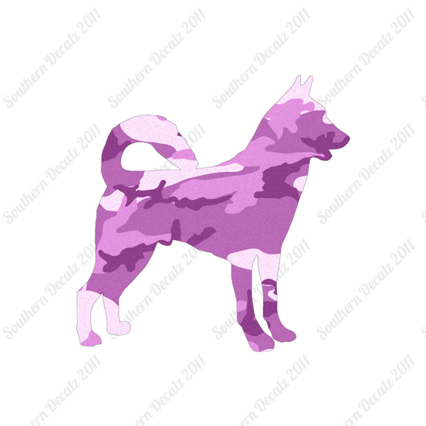 Canaan Dog Breed
