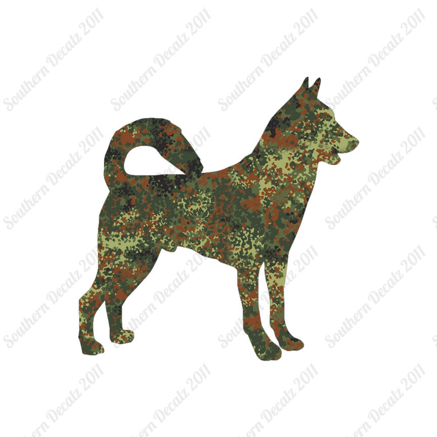 Canaan Dog Breed