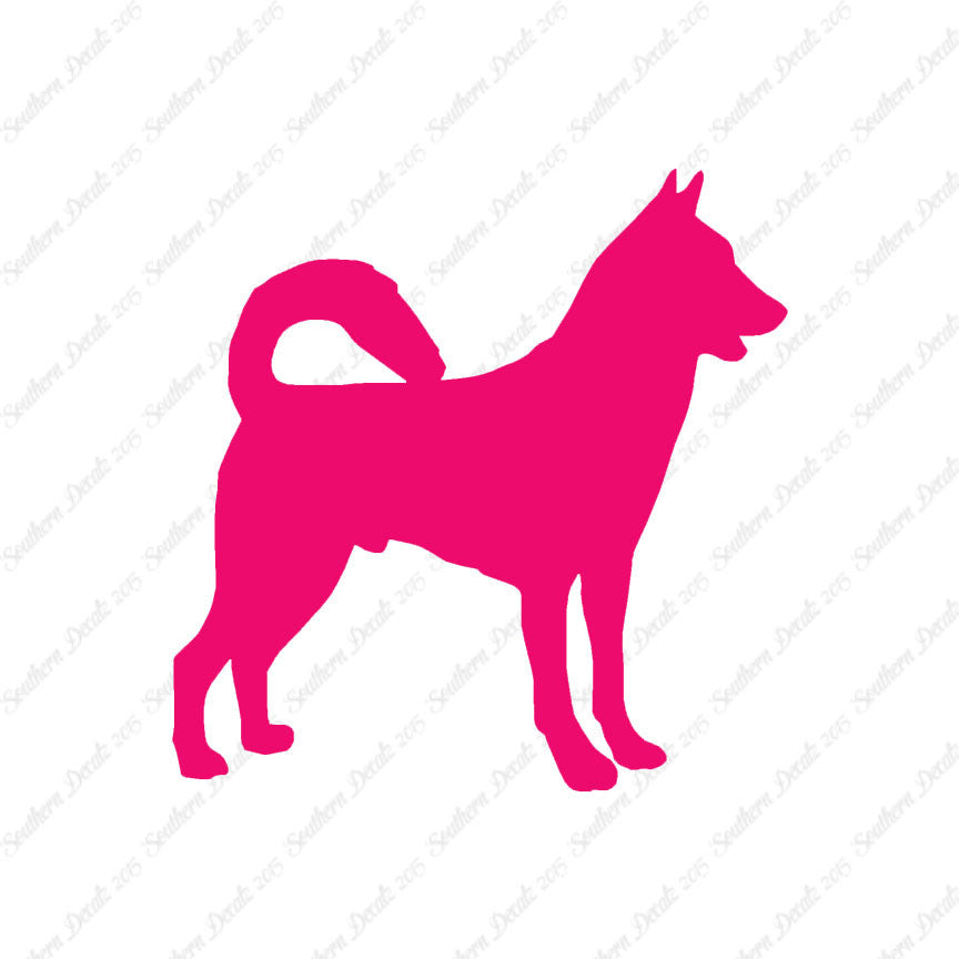 Canaan Dog Breed