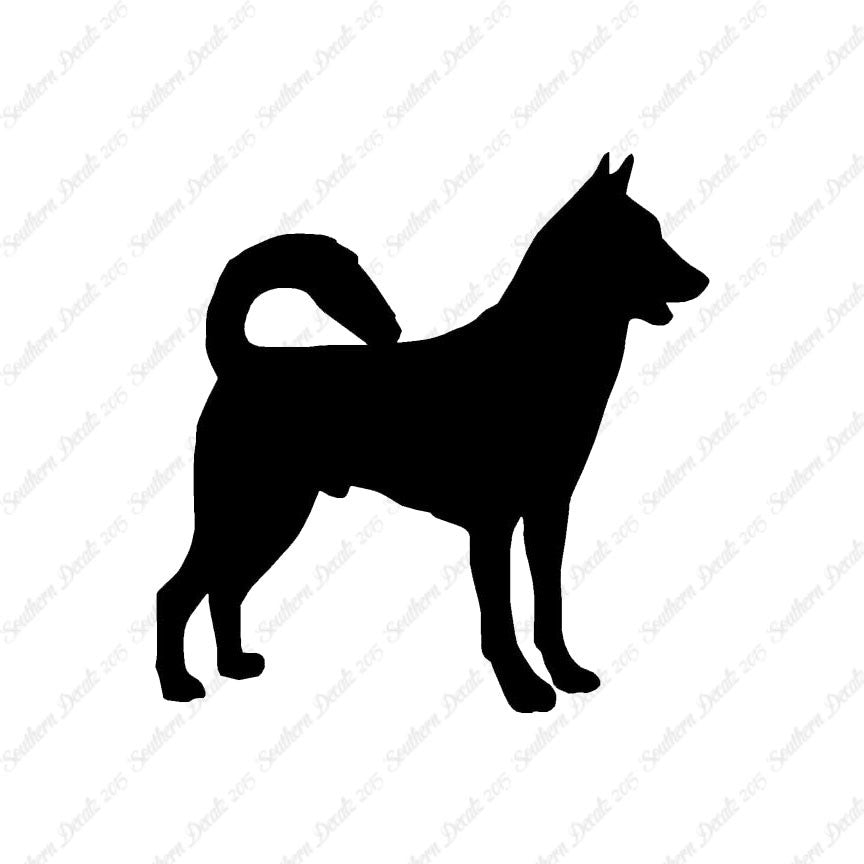 Canaan Dog Breed