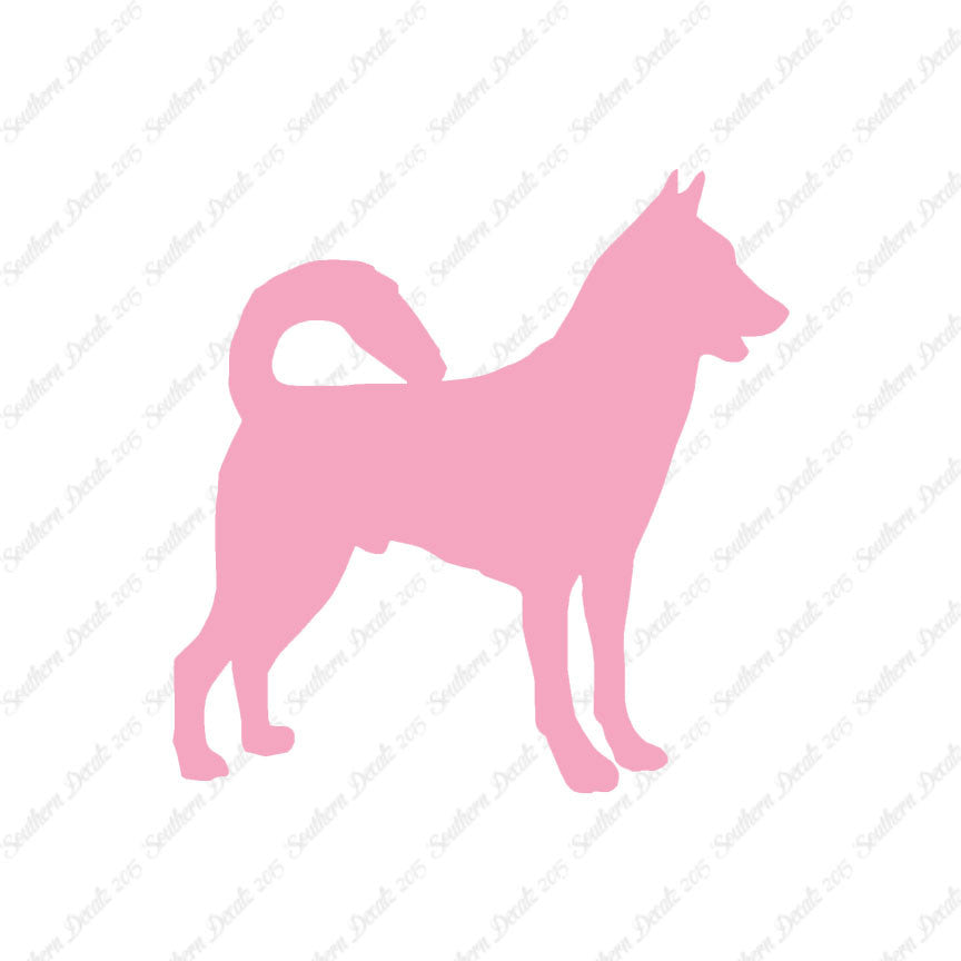 Canaan Dog Breed
