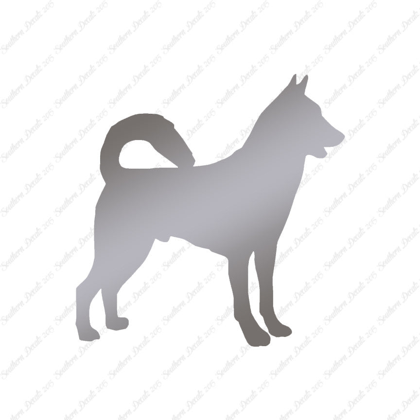 Canaan Dog Breed