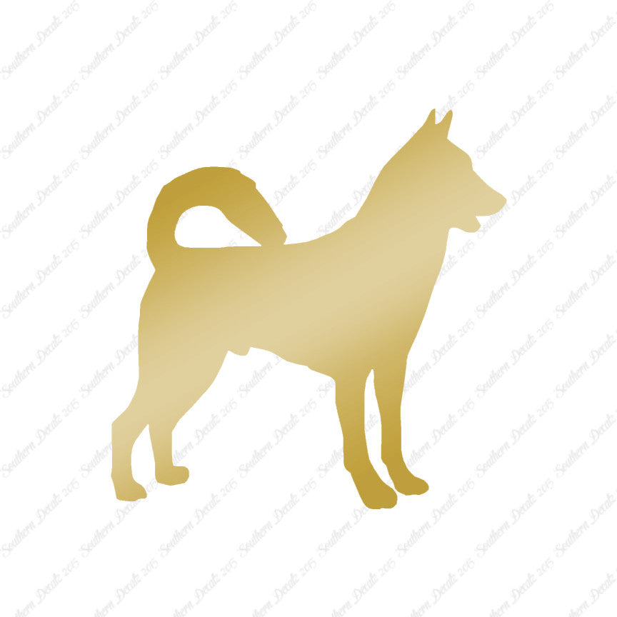 Canaan Dog Breed