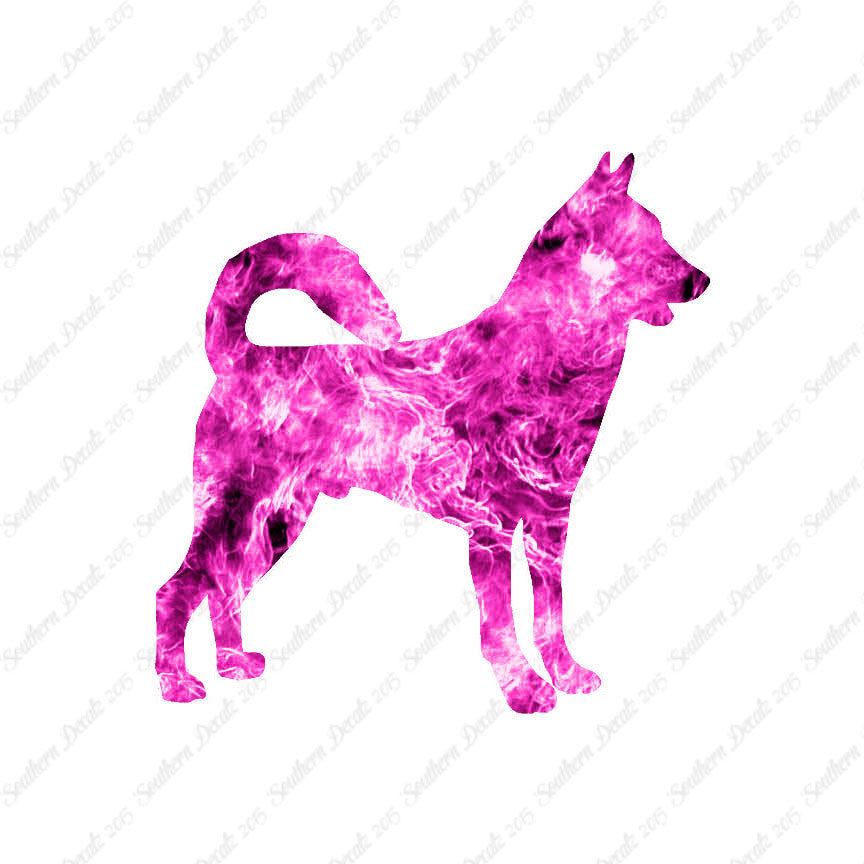 Canaan Dog Breed
