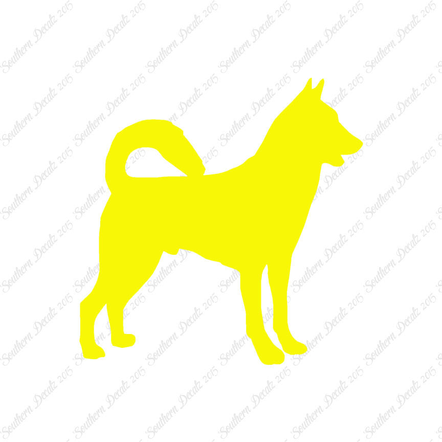 Canaan Dog Breed