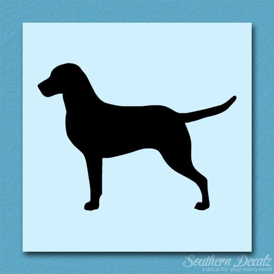 Chesapeake Bay Retriever Dog Breed