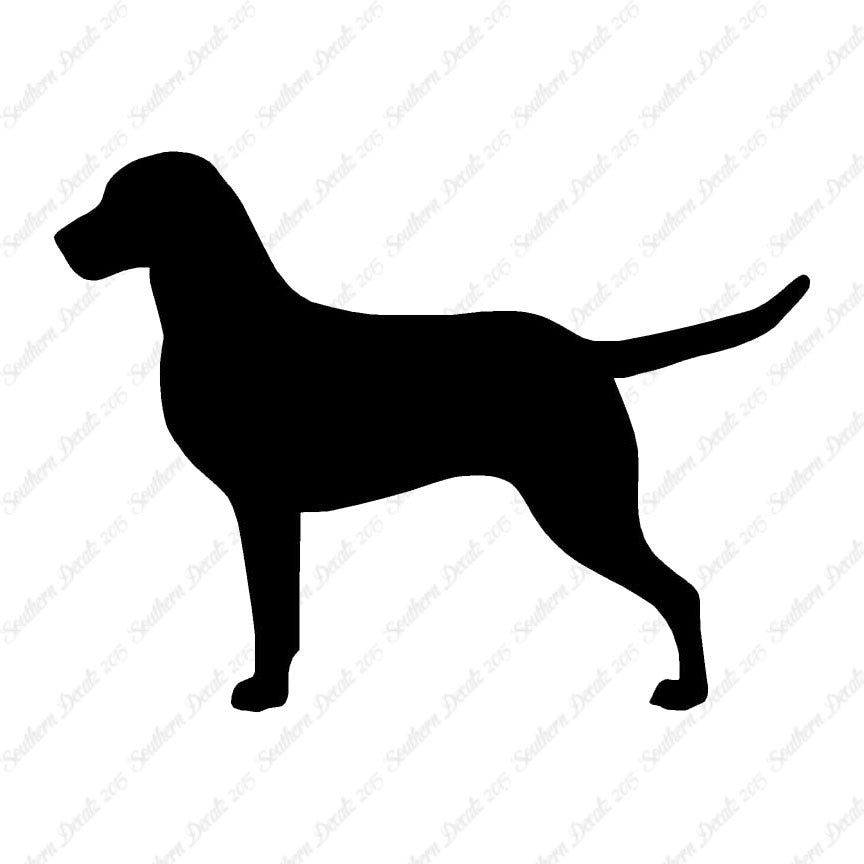 Chesapeake Bay Retriever Dog Breed
