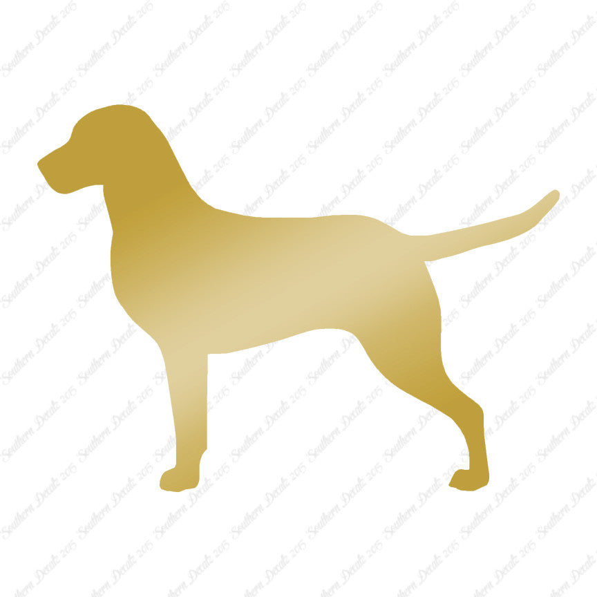 Chesapeake Bay Retriever Dog Breed