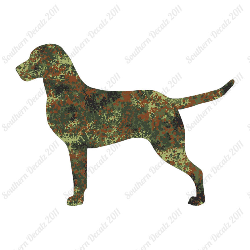 Chesapeake Bay Retriever Dog Breed