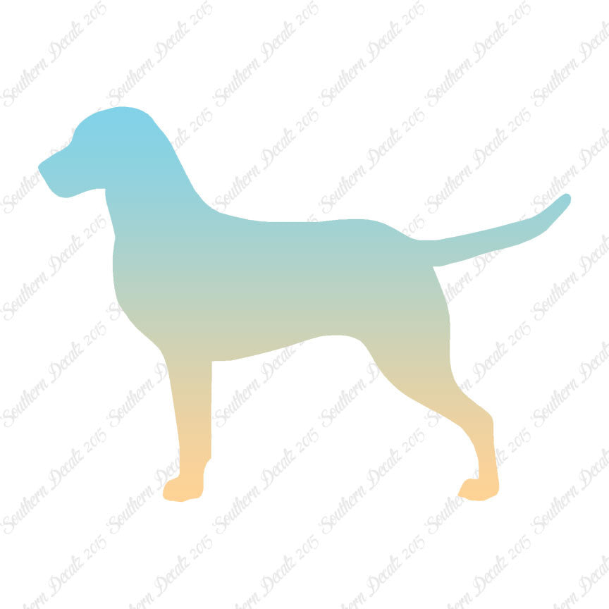 Chesapeake Bay Retriever Dog Breed