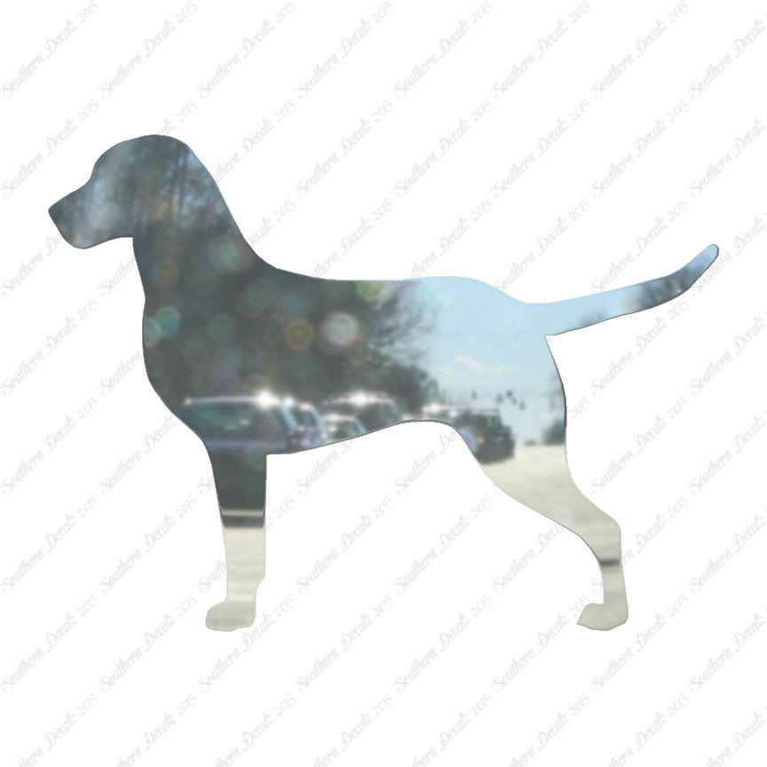Chesapeake Bay Retriever Dog Breed