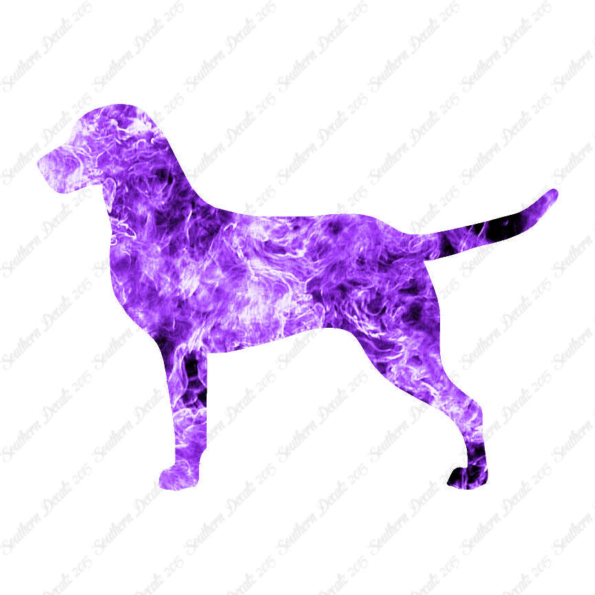 Chesapeake Bay Retriever Dog Breed
