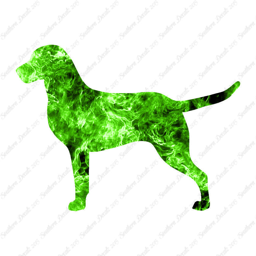 Chesapeake Bay Retriever Dog Breed