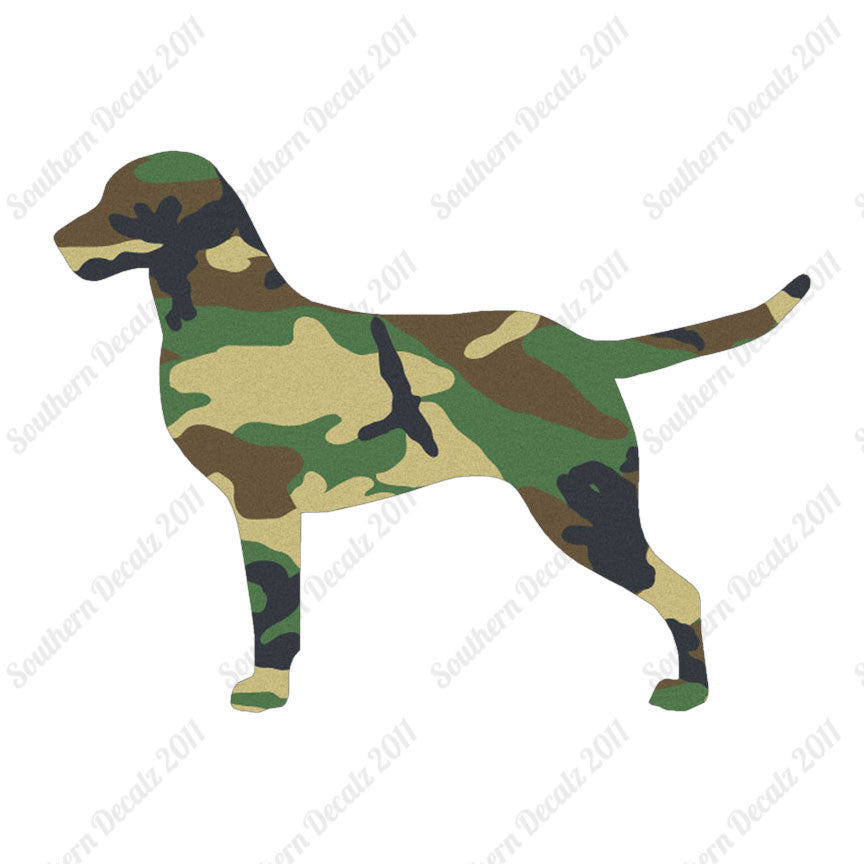 Chesapeake Bay Retriever Dog Breed