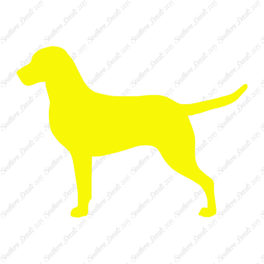 Chesapeake Bay Retriever Dog Breed