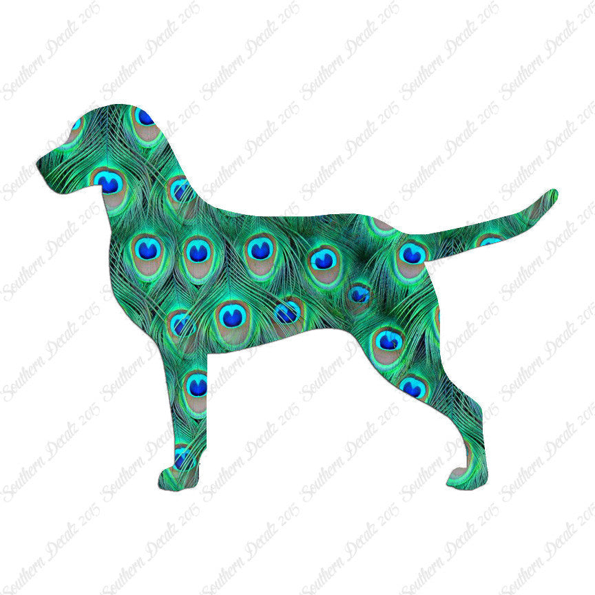 Chesapeake Bay Retriever Dog Breed