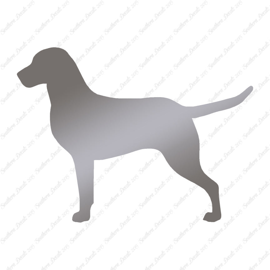 Chesapeake Bay Retriever Dog Breed